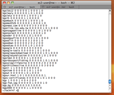 Screenshot from Steve's computer during the dictionary-building process.